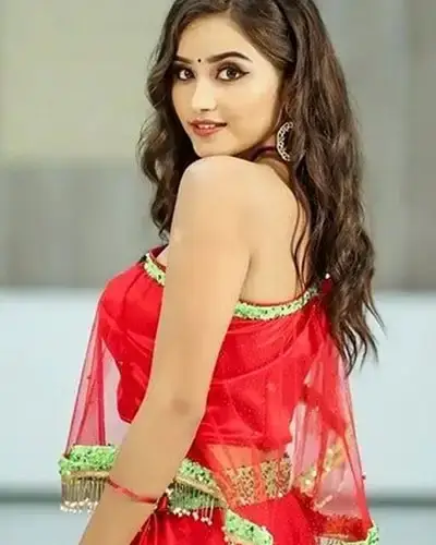 Call Girls Service Narsimhapur